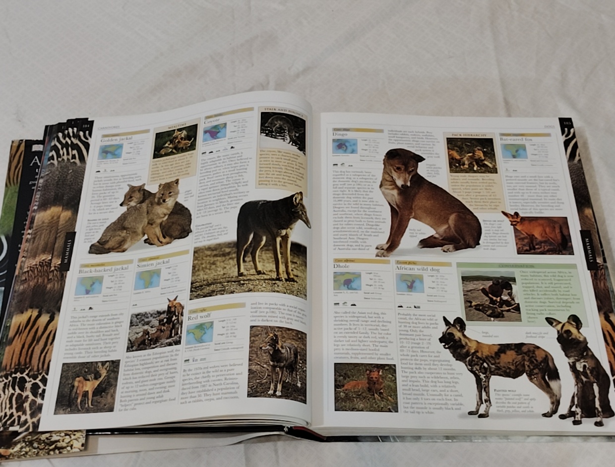 Animal – Smithsonian Institution, David Burnie, Don E Wilson (hardback)