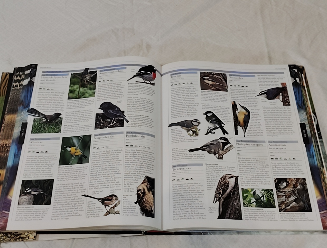 Animal – Smithsonian Institution, David Burnie, Don E Wilson (hardback)