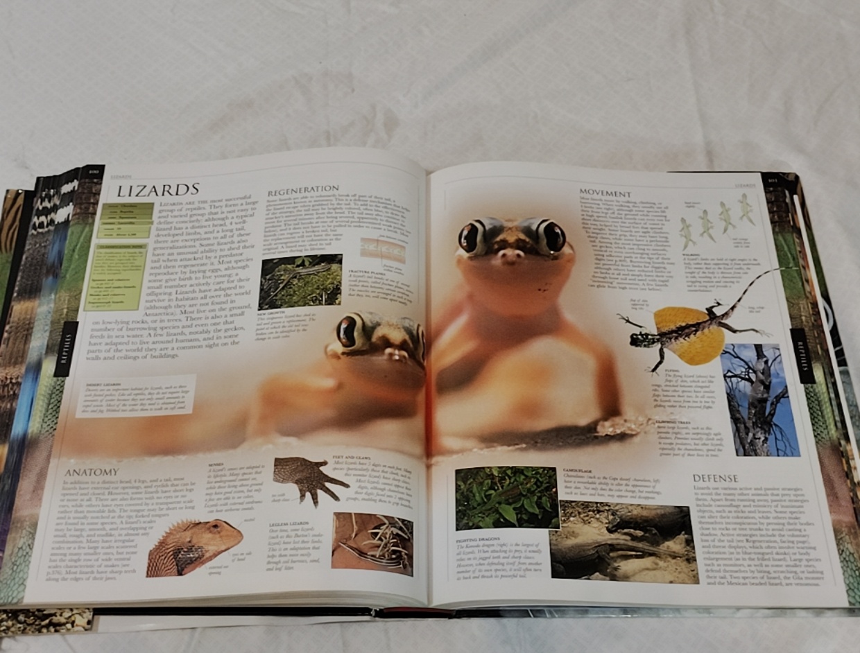 Animal – Smithsonian Institution, David Burnie, Don E Wilson (hardback)