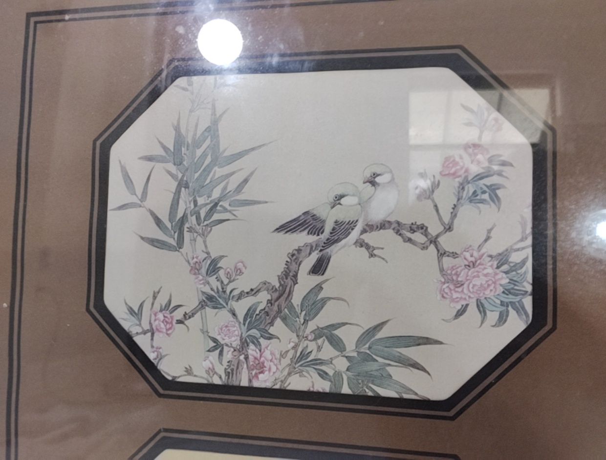 Arian Bird Art Framed