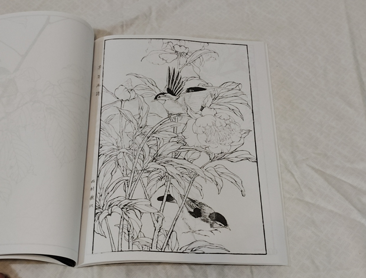Birds & Flowers Japanese Coloring Book – Kacho Gafu (paperback)