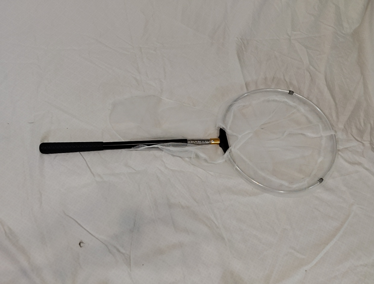 Butterfly Net Extendable to 6ft