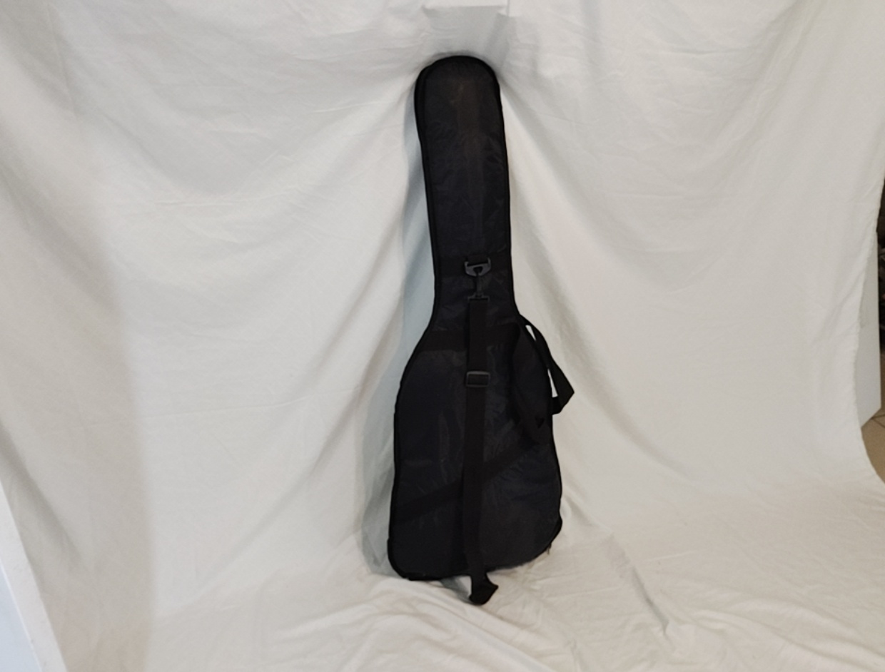 Jay Turser Electric Guitar with Bag