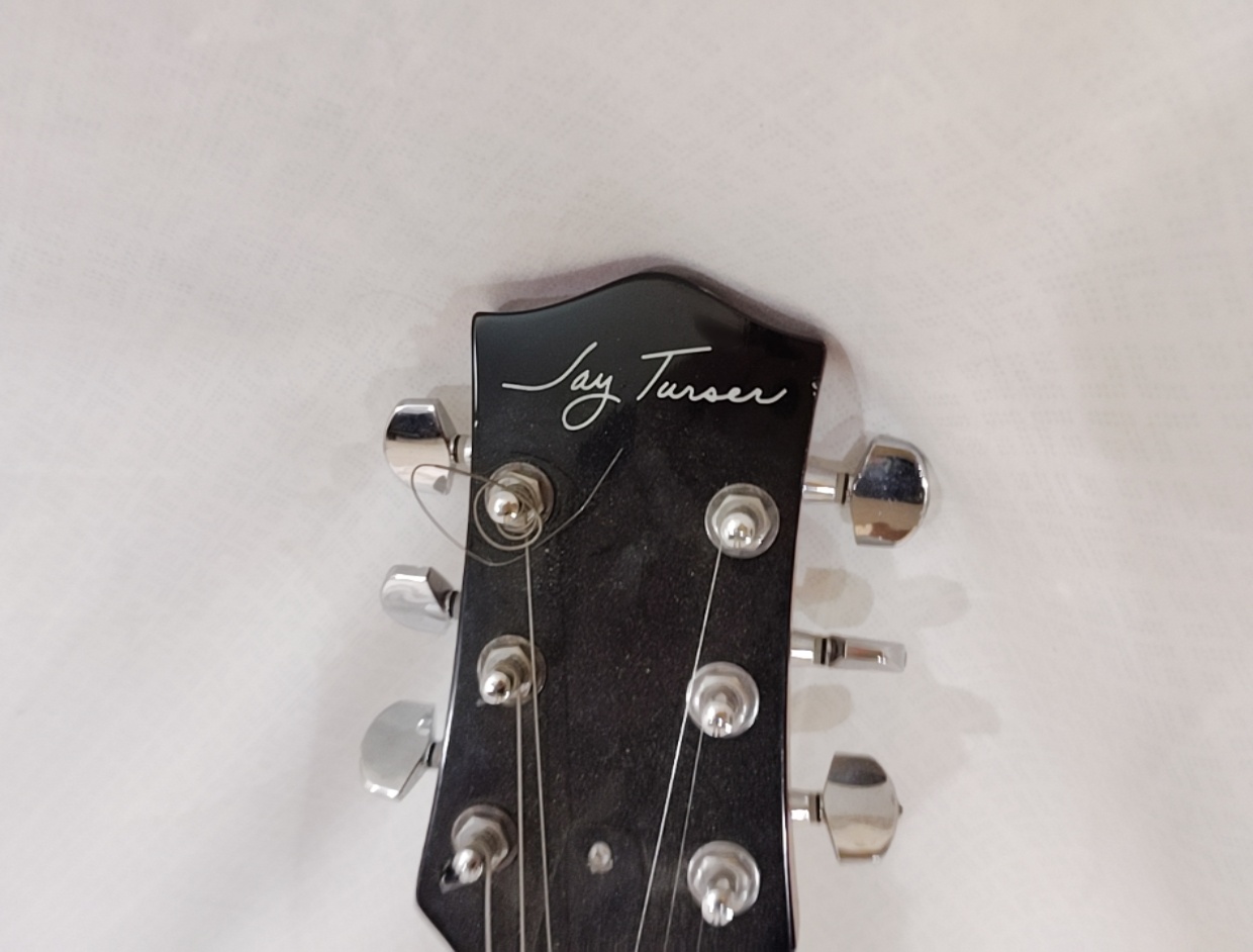 Jay Turser Electric Guitar with Bag