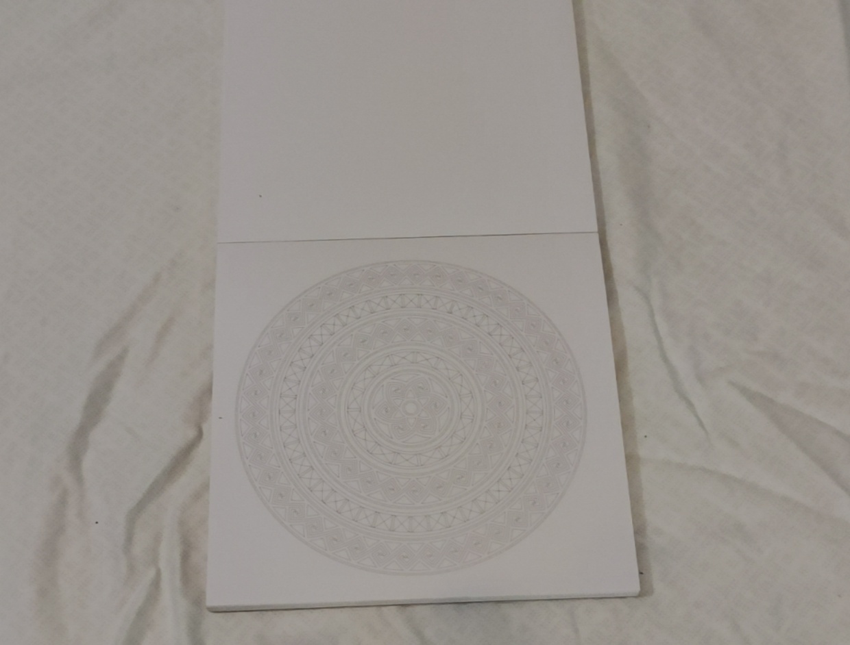 Mandala Coloring Book – Vive Le Color! (paperback)
