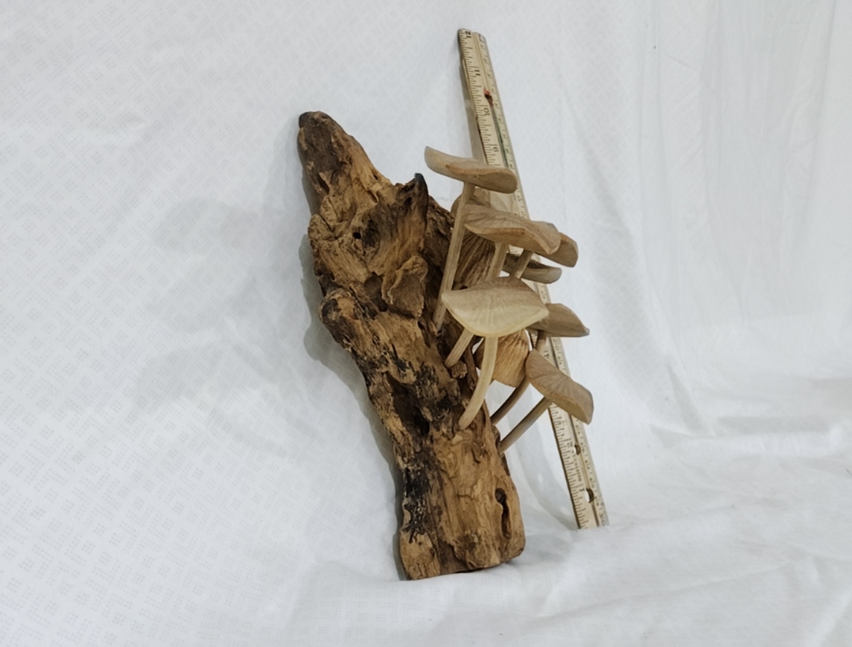 Mushroom Wood Wall Decoration