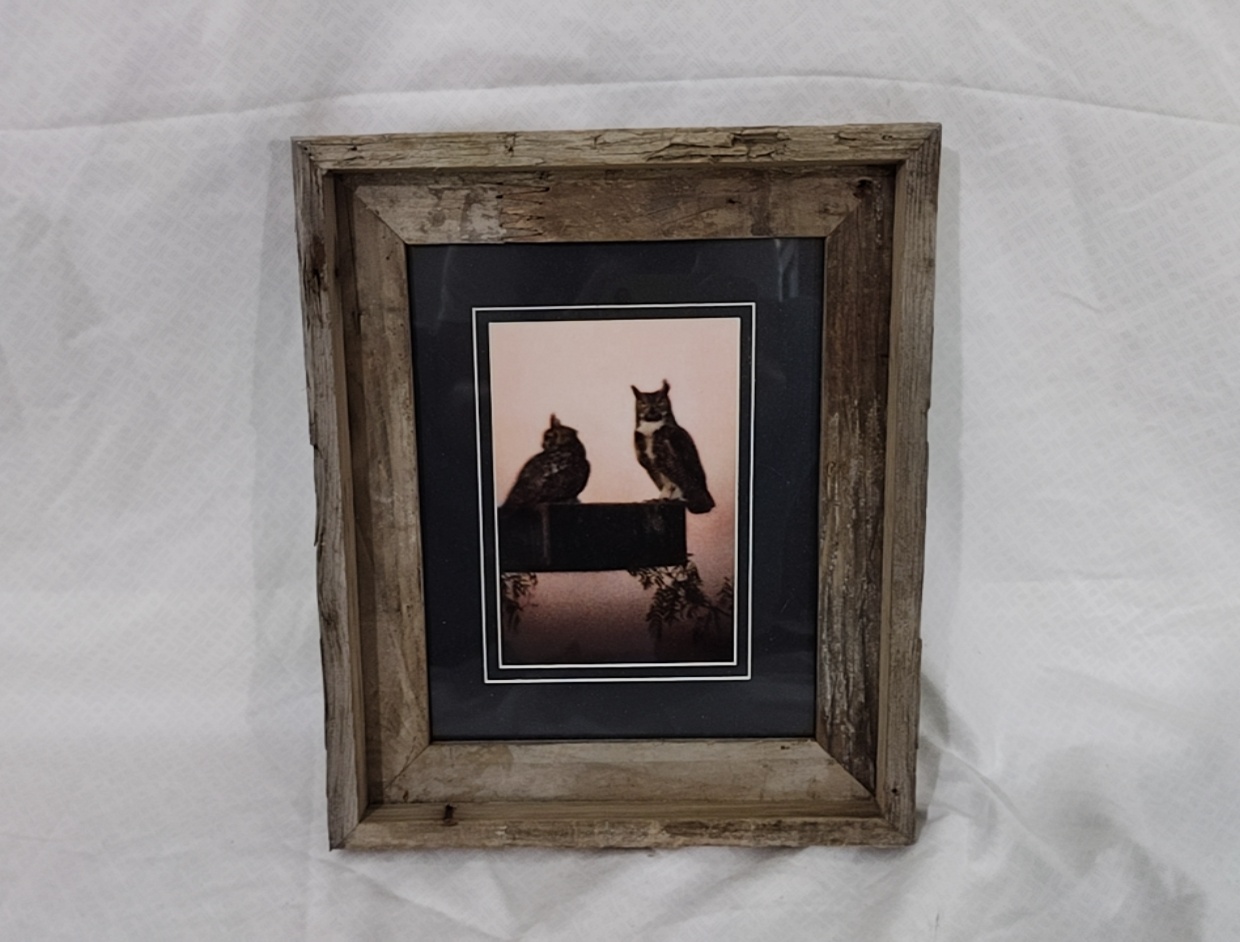 Owl Art Framed