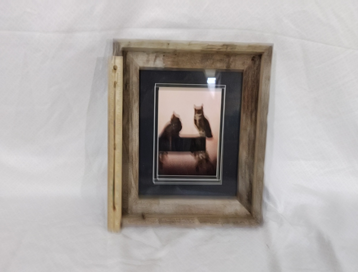 Owl Art Framed