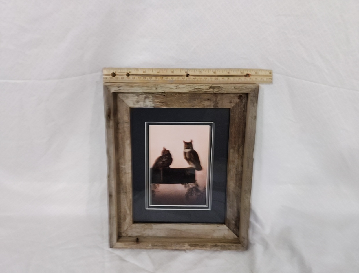 Owl Art Framed