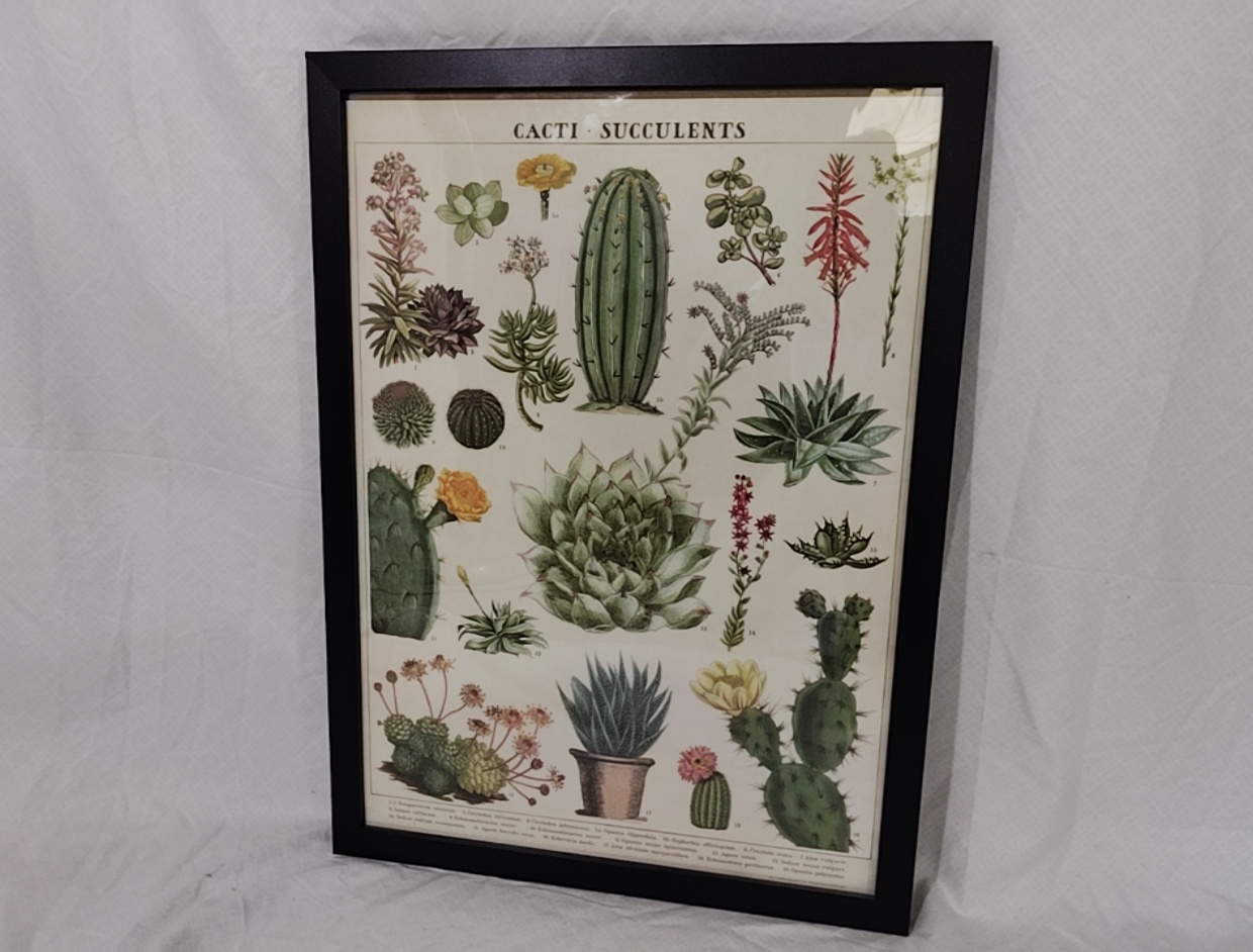 Poster Framed Plants