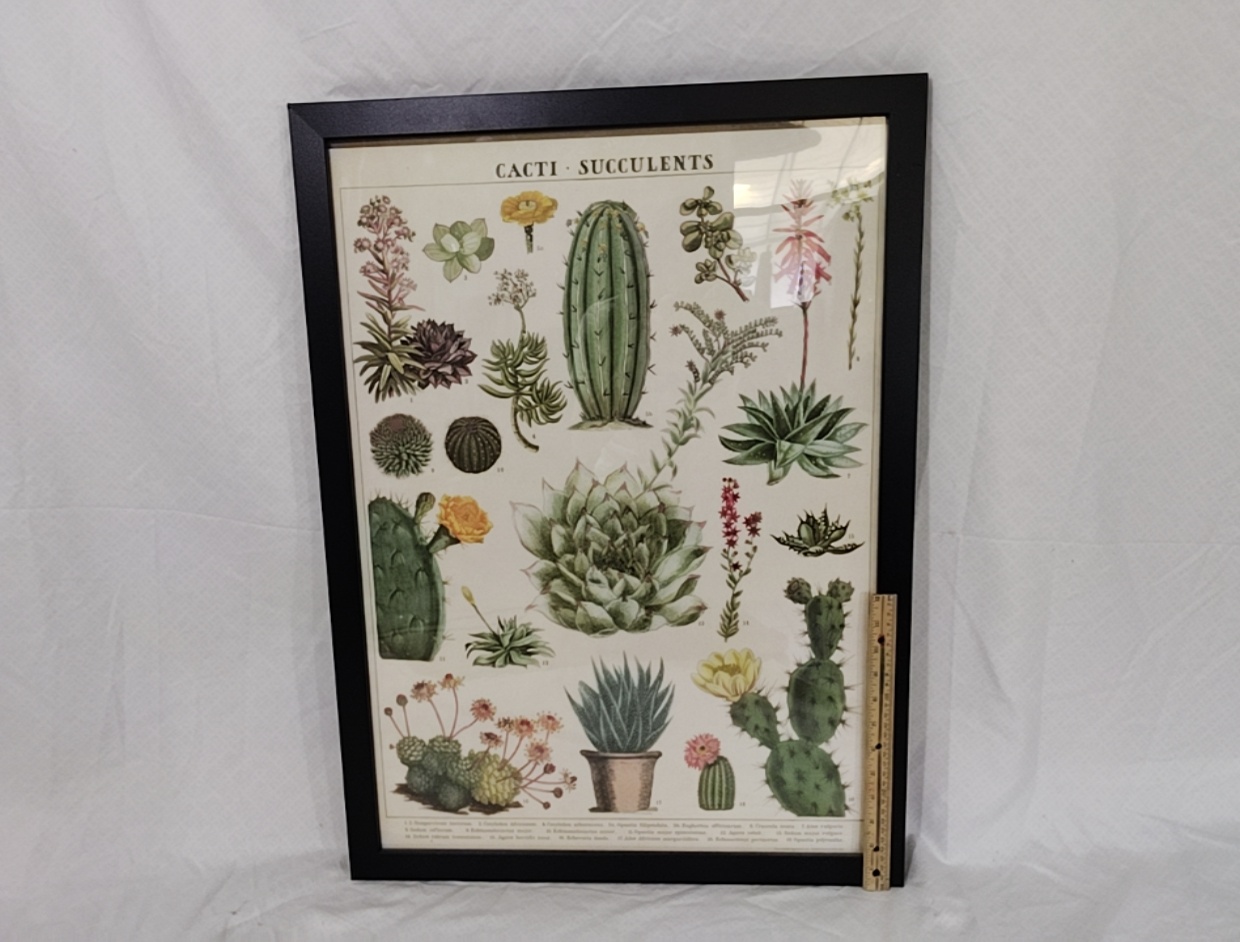 Poster Framed Plants