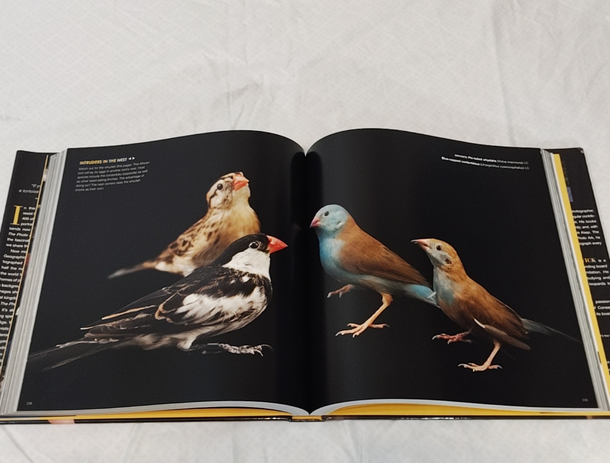 The Photo Ark – National Geographic, Joel Sartore (hardback)