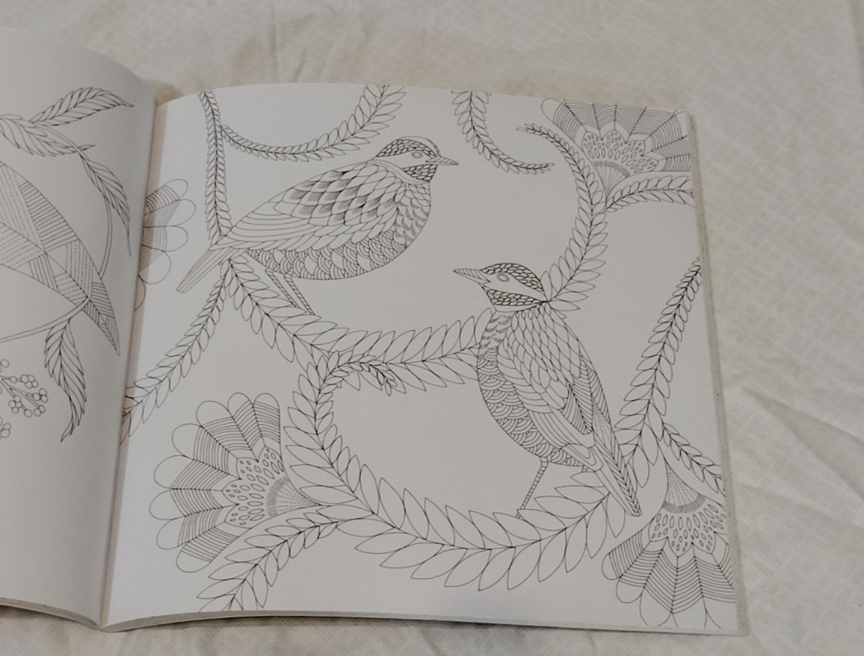 Tropical World Coloring Book – Millie Marotta (paperback)